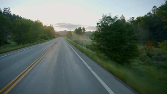 道路，树木，骑，森林