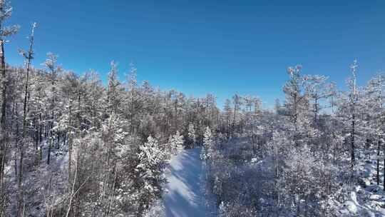 林海雪原雪林和山路