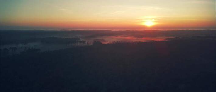 日出雾气森林阳光穿过树林秋季森林湖泊合集