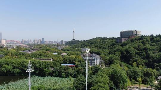 航拍湖北武汉月湖沙湖东湖风景区