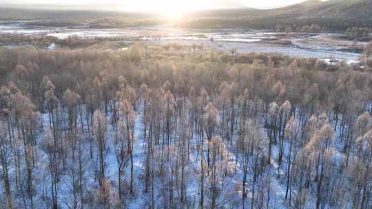 航拍雪原阳光树林雾凇