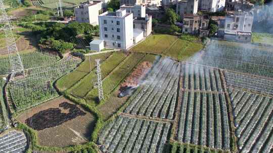 农村农田焚烧秸秆航拍