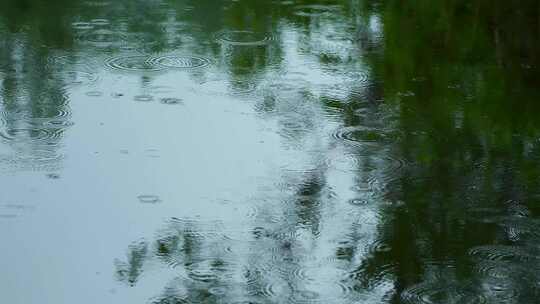 下雨天雨水雨滴落在池塘里泛起波纹和水花