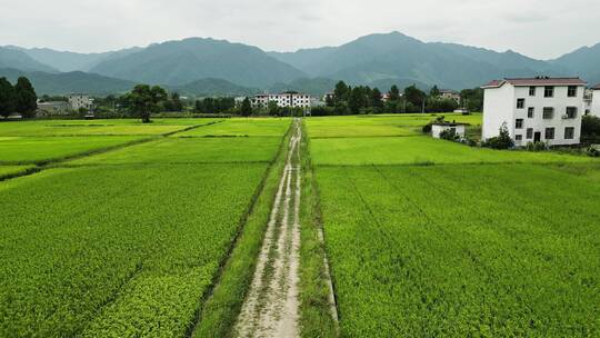 航拍田园风光