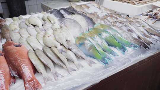 沙特阿拉伯吉达旧鱼市场柜台上新鲜彩色生鱼