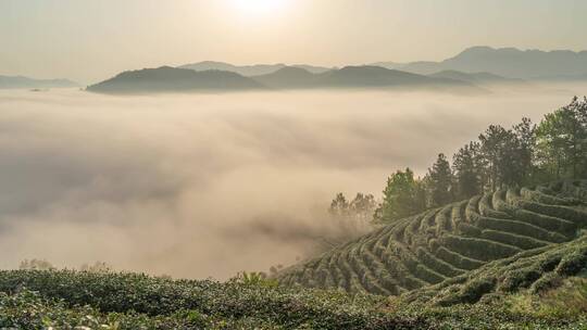 汉中茶山延时日出云海视频素材模板下载