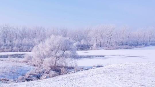 唯美意境，当您心情不好的时候，治愈系风景