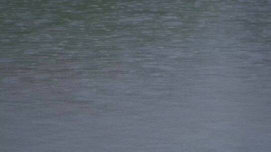 杭州西湖慢动作下雨湖面水波4K视频合集