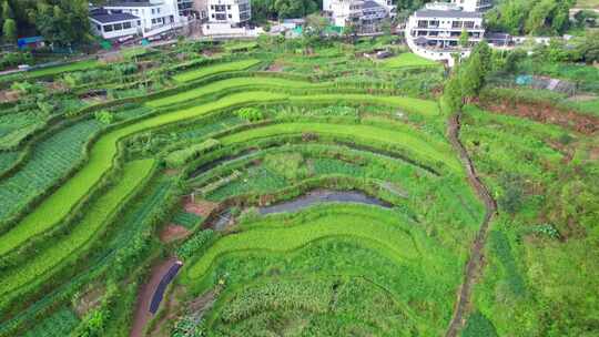 航拍乡村田园风光新农村建设乡村振兴