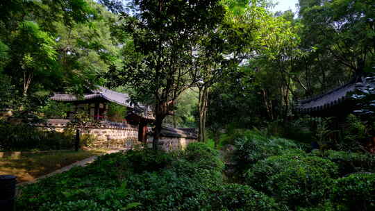 广州越秀公园中式园林庭院