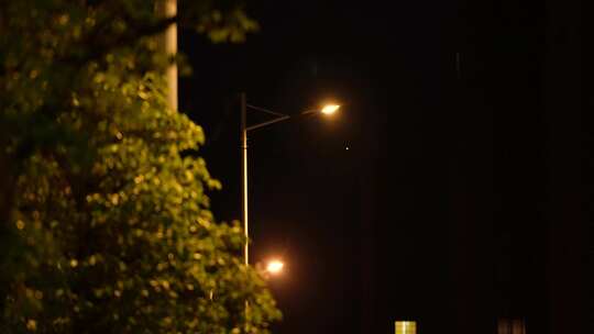 夜晚路灯照明视频素材模板下载