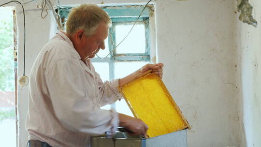 老人在刮取蜂蜜
