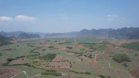 广西大面积甘蔗种植基地航拍