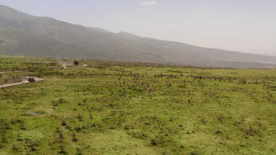 Ser附近恩戈罗恩戈罗山脊山上一条尘土飞扬的道路，游猎旅游车经过长颈鹿视频素材模板下载
