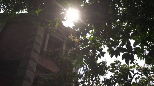 上海老别墅阳光树林建筑老房子阳光穿透树叶视频素材模板下载