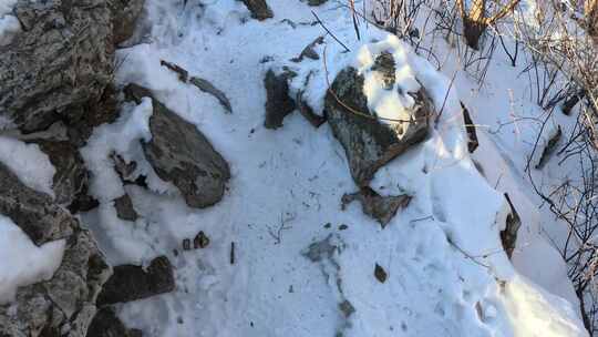 雪景登山