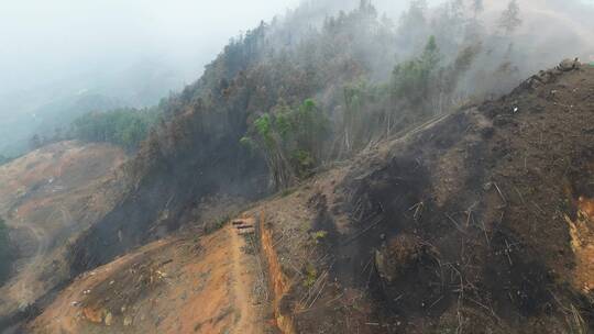 重庆山火后，北碚缙云山迎来降雨，云雾缭绕