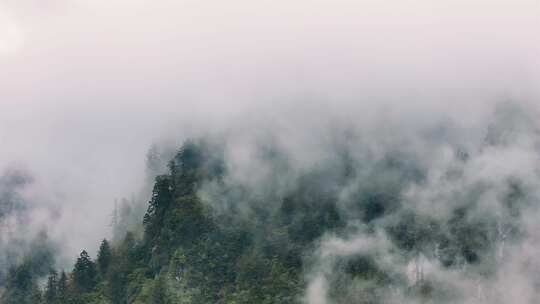 山谷里的云雾天气