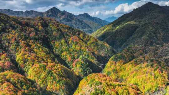 航拍四川光雾山