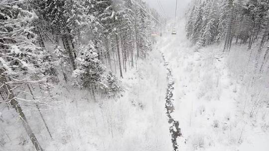 从滑雪站俯瞰美丽的冰冻森林视频素材模板下载