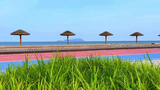 4K夏天花草树木海边花园风景