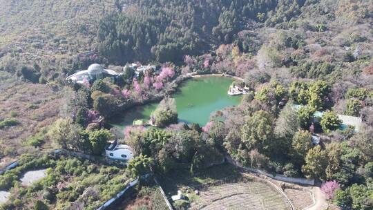 航拍大理蝴蝶泉景区