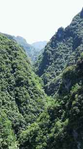 竖版航拍湖北十堰神农大峡谷景区