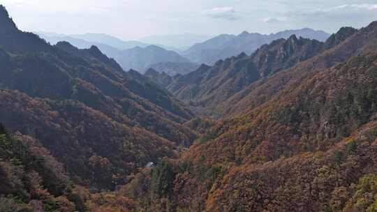 南阳老界岭秋景风光