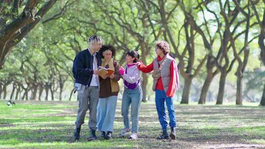 学生，公园，朋友，快乐