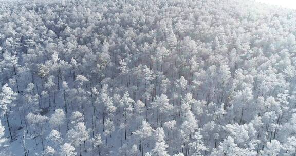 零下40度的低温航拍大兴安岭冰雪雾凇