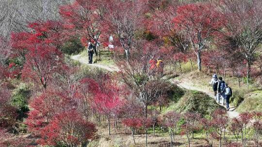 幸福水库 唐田村