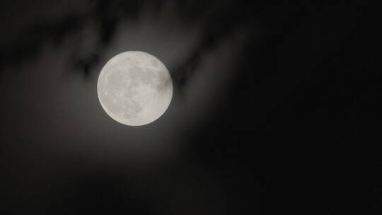 月亮意境 圆月 月光 月色