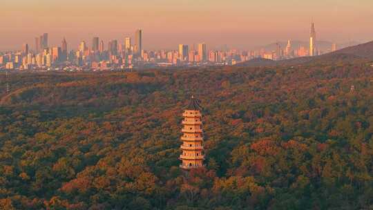 南京 灵谷塔 秋景 南京秋天 秋色 历史建筑