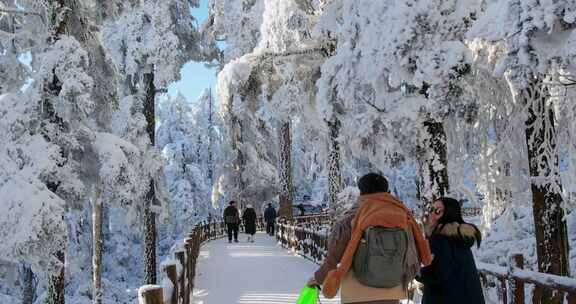 高清实拍瓦屋山冬天雪景雪山森林