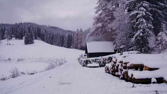 雪，小屋，原木，森林