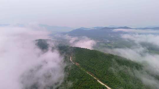 内蒙柴河望牛山赏心峰云海翻腾似仙境