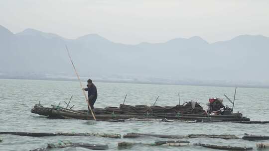 宁海牡蛎 出海