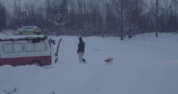 宠物狗在雪地里玩耍