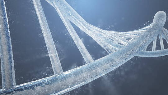 DNA生物分子链医学螺旋神经元结构 遗传