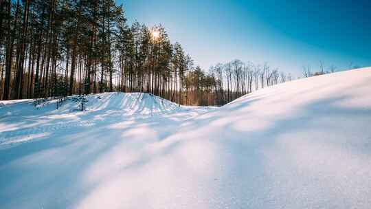 森林雪上移动的阴影