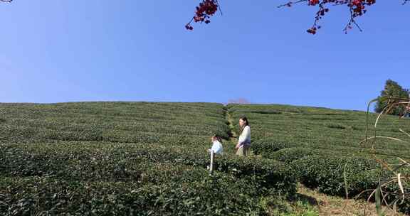 母女在生态茶园中散步