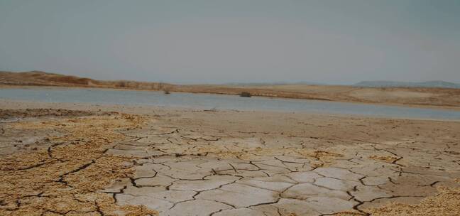 沙漠池塘里干涸的裂缝