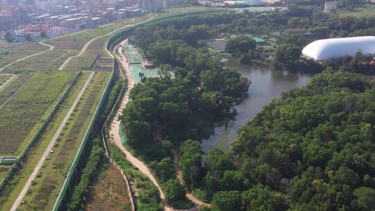 航拍深圳龙华区观澜城市绿化及建筑