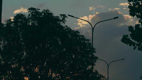 黄昏街道树木路灯