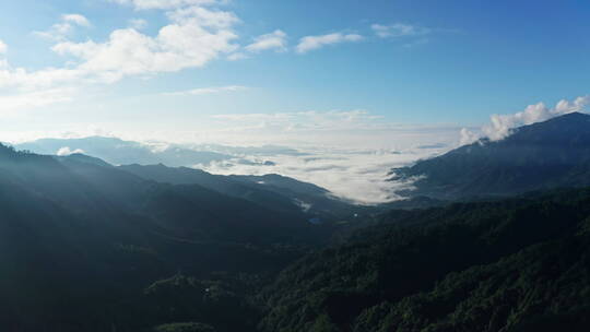 清晨山间的云雾云海