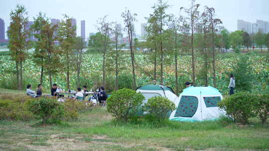 武汉江夏区黄家湖湿地公园