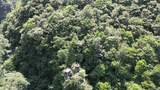 湖北神农大峡谷4A景区航拍视频素材模板下载