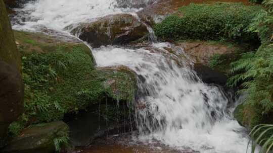 水流流水水花溪流流下