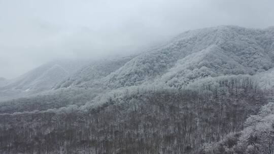 航拍湖北神农架大九湖冬季冰雪风光雪景