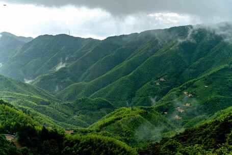 平塘马安延时 航拍竹海 航拍 竹林